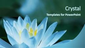 Presentation with lotus - Colorful PPT theme enhanced with stamens - lotus flower blooming backdrop and a ocean colored foreground