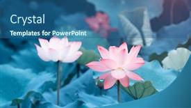  Presentation with garden pond - Beautiful PPT theme featuring lotus-flower-in-garden-pond backdrop and a ocean colored foreground