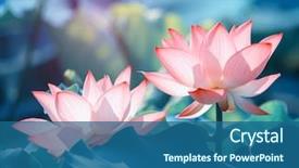  Presentation with lotus - Colorful presentation theme enhanced with lotus flower in pond backdrop and a ocean colored foreground