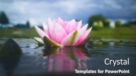  Presentation with lotus flower - 