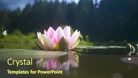  Presentation with lotus flower - 