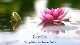  Presentation with lotus flower - 