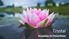  Presentation with lotus flower - 