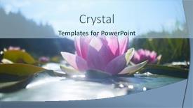  Presentation with lotus flower - 