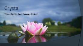  Presentation with lotus flower - Colorful slide set enhanced with lotus-flower-in-pond backdrop and a  colored foreground