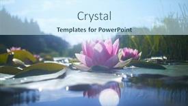  Presentation with lotus flower - 