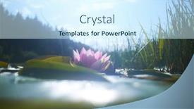  Presentation with lotus flower - 