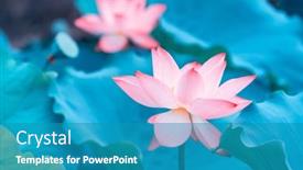  Presentation with lotus - Colorful PPT theme enhanced with lotus-flower-plants-with-green backdrop and a teal colored foreground