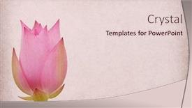  Presentation with old paper - Colorful presentation theme enhanced with lotus-on-the-old-grunge backdrop and a lemonade colored foreground