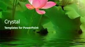  Presentation with lotus - Cool new presentation with lotus backdrop and a forest green colored foreground