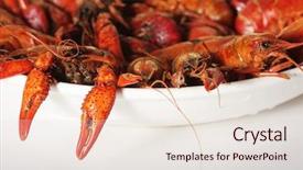  Presentation with cajun - Beautiful PPT theme featuring lousiana cajun - boiled crawfish backdrop and a lemonade colored foreground