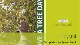  Presentation with plantation - Slide deck with love-a-tree-day background and a yellow colored foreground