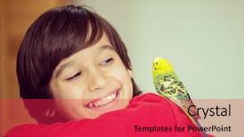  Presentation with parrot - Slide set enhanced with love parrots - kid playing with his pet background and a red colored foreground