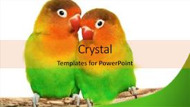  Presentation with pair of hands - Beautiful slides featuring a white water rafting backdrop and a dark gray colored foreground.