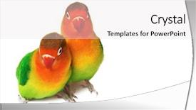  Presentation with history earth globe isolated white - Presentation featuring pair of lovebirds agapornis-fischeri background and a sky blue colored foreground