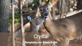  Presentation with mother and child health care - Cool new presentation theme with love care - mother and child deer backdrop and a  colored foreground