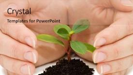  Presentation with sprout - PPT theme enhanced with love care - young sprout and hands background and a coral colored foreground