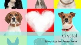  Presentation with heart love - Presentation theme consisting of love-collage-of-different-types background and a arctic colored foreground