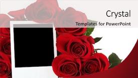  Presentation with roses - Audience pleasing PPT theme consisting of love frame - bouquet of roses with empty backdrop and a white colored foreground