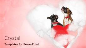  Presentation with love heart - Cool new presentation with love-french-bulldog-and-boxer backdrop and a lemonade colored foreground