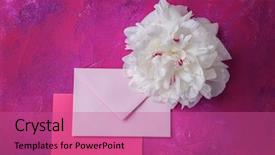  Presentation with peony flower - Slide set having pink envelope with beautiful peony background and a coral colored foreground