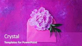  Presentation with peony flower - Audience pleasing presentation design consisting of pink envelope with beautiful peony backdrop and a purple colored foreground