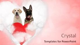  Presentation with german shepherd two young puppys - Cool new presentation with love-labrador-retriever-and-german backdrop and a lemonade colored foreground