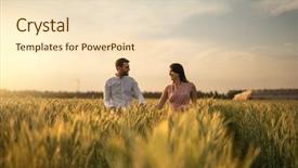  Presentation with romantic birthday couple celebrate - Beautiful PPT theme featuring love moment at gold wheat backdrop and a  colored foreground