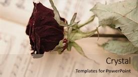  Presentation with black history - Slides having love music book background and a coral colored foreground