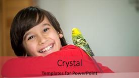  Presentation with parrot - Beautiful PPT layouts featuring love parrots - kid playing with his pet backdrop and a  colored foreground