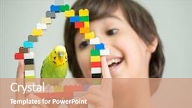  Presentation with parrot - Cool new PPT layouts with love parrots - kid playing with his pet backdrop and a  colored foreground