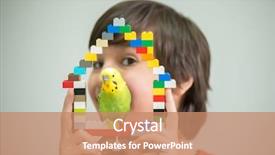  Presentation with parrot - Slide set featuring love parrots - kid playing with his pet background and a  colored foreground