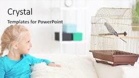  Presentation with parrot - PPT theme with love parrots - little girl with adorable pet background and a  colored foreground