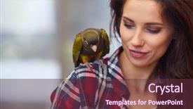 Presentation with parrot - Slide deck enhanced with love parrots - parrot sitting on a girls background and a tawny brown colored foreground