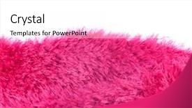  Presentation with material failure - Slides enhanced with love party magic - red luxury material red fur background and a white colored foreground