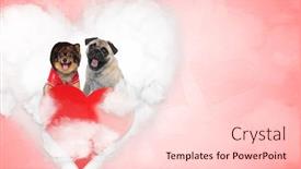  Presentation with love heart - Presentation theme featuring love-pomeranian-and-pug-puppies background and a lemonade colored foreground