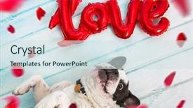  Presentation with balloon - PPT theme enhanced with love shape balloon and falling background and a sky blue colored foreground