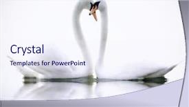 Presentation with love - Slide set enhanced with love swans background and a sky blue colored foreground
