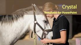  Presentation with barn - Colorful presentation design enhanced with love theme - side view of female jockey backdrop and a tawny brown colored foreground