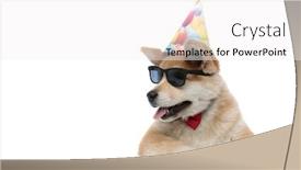  Presentation with hat - Colorful PPT theme enhanced with lovely-akita-inu-panting backdrop and a white colored foreground