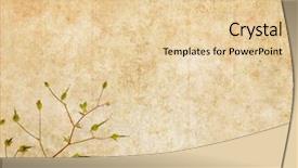  Presentation with elements - Slide set having lovely background image with floral elements background and a lemonade colored foreground