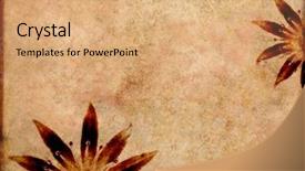  Presentation with brown floral - PPT theme having lovely brown background image with interesting texture and floral elements with plenty of space for text background and a coral colored foreground