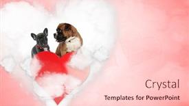  Presentation with boxer - Presentation having lovely-french-bulldog-and-boxer background and a lemonade colored foreground