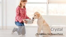  Presentation with dog food - Presentation design featuring lovely-little-girl-giving-food background and a lemonade colored foreground