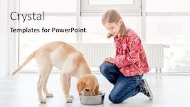  Presentation with dog food - Audience pleasing PPT layouts consisting of lovely-little-girl-giving-food backdrop and a sky blue colored foreground