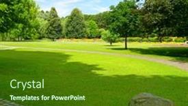  Presentation with meadow - Presentation theme having lovely-meadow-with-green-grass background and a tawny brown colored foreground