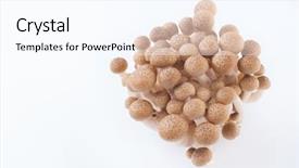  Presentation with vitamin - Beautiful PPT layouts featuring lovely shimeji mushroom - food backdrop and a  colored foreground