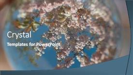  Presentation with cherry - Slide deck enhanced with lovely-slightly-distorted-view background and a ocean colored foreground