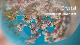  Presentation with springtime - Beautiful slides featuring lovely-slightly-distorted-view backdrop and a coral colored foreground