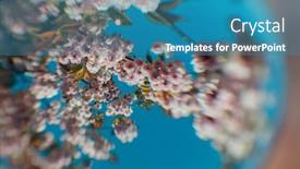  Presentation with cherry - Theme with lovely-slightly-distorted-view background and a teal colored foreground
